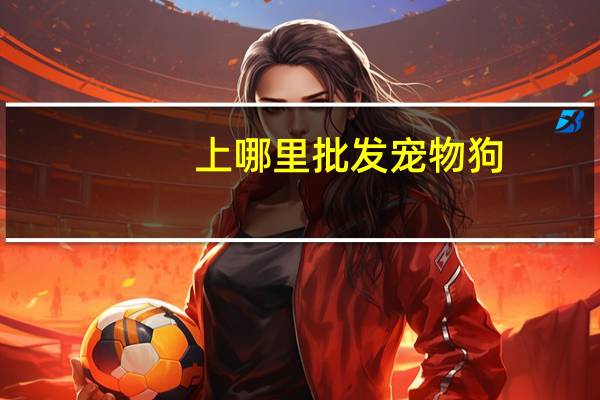 上哪里批发宠物狗