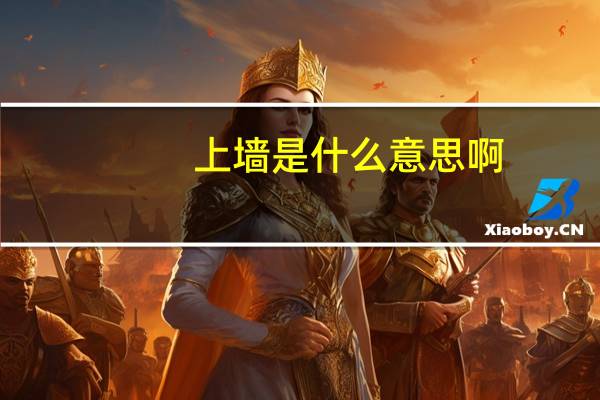 上墙是什么意思啊（上墙是什么意思）