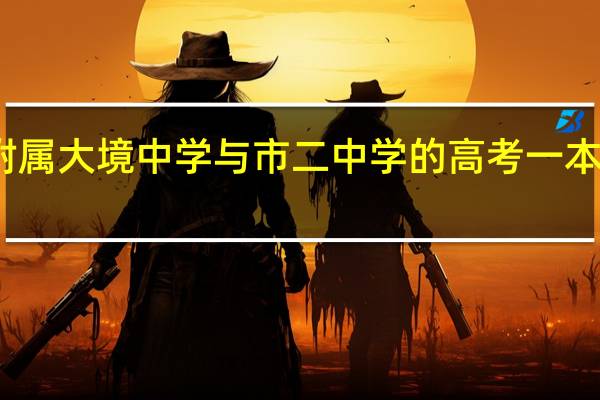上外附属大境中学与市二中学的高考一本率差距大吗