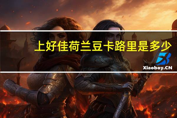 上好佳 荷兰豆卡路里是多少