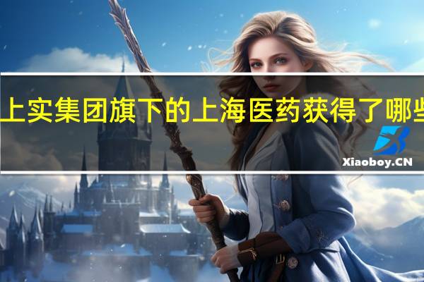 上实集团旗下的上海医药获得了哪些荣誉