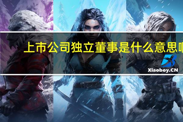 上市公司独立董事是什么意思啊（上市公司独立董事是什么意思）