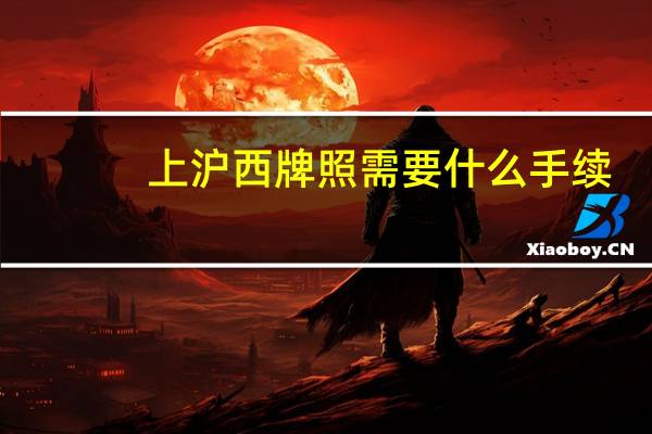 上沪西牌照需要什么手续