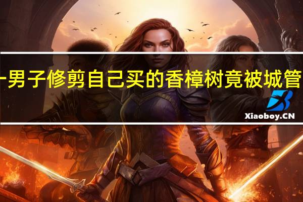 上海一男子修剪自己买的香樟树竟被城管罚款14万元,这件事为何违法