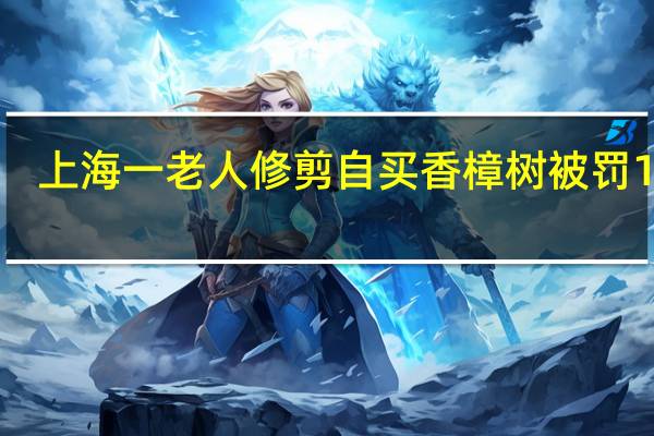 上海一老人修剪自买香樟树被罚14万，官方对此是如何回应的呢