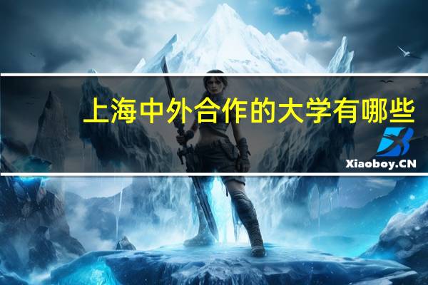 上海中外合作的大学有哪些