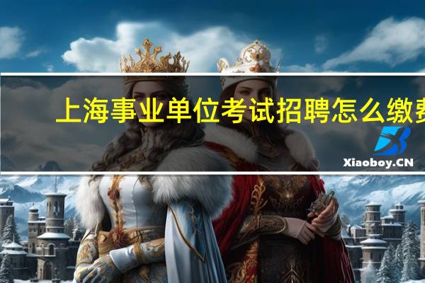 上海事业单位考试招聘怎么缴费