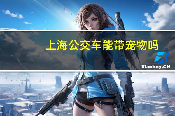 上海公交车能带宠物吗