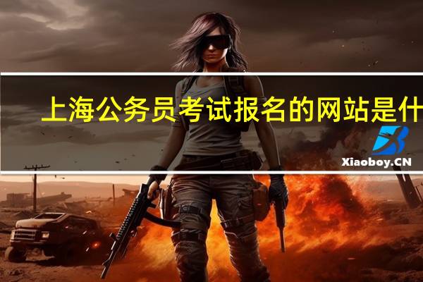 上海公务员考试报名的网站是什么