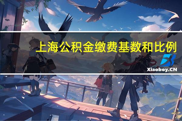 上海公积金缴费基数和比例（上海公积金缴纳基数和比例）