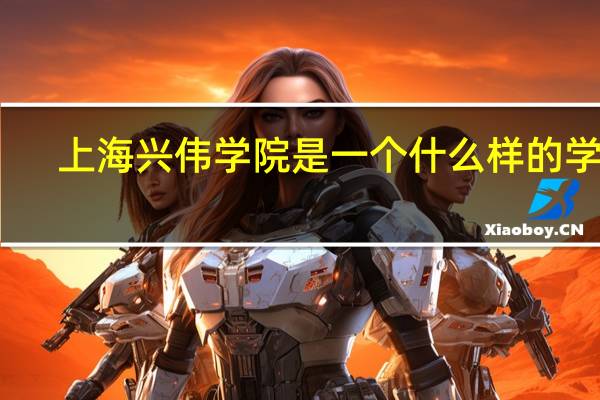 上海兴伟学院是一个什么样的学校