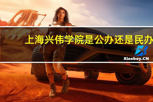 上海兴伟学院是公办还是民办