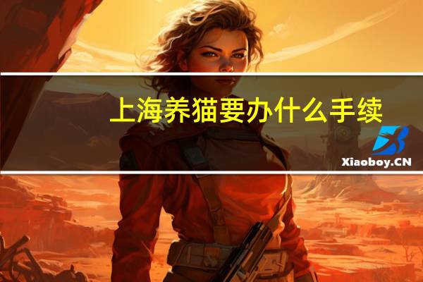 上海养猫要办什么手续