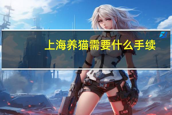 上海养猫需要什么手续