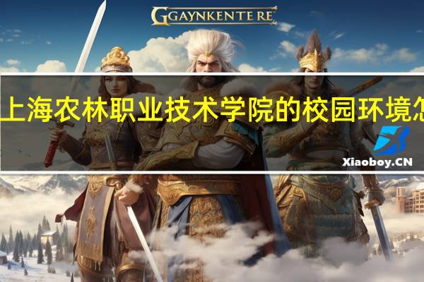 上海农林职业技术学院的校园环境怎么样