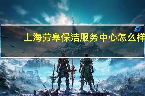 上海劳皋保洁服务中心怎么样