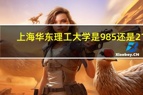上海华东理工大学是985还是211