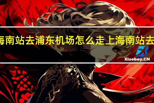上海南站去浦东机场怎么走 上海南站去浦东机场