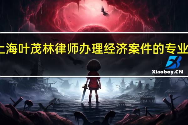 上海叶茂林律师办理经济案件的专业性如何，你怎么看