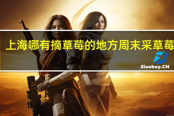 上海哪有摘草莓的地方 周末采草莓指南