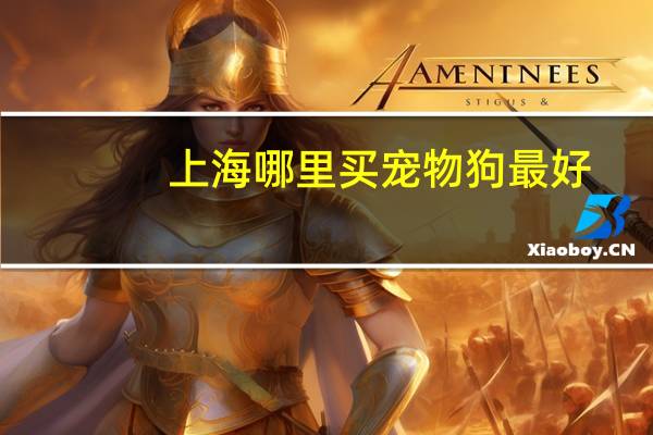 上海哪里买宠物狗最好