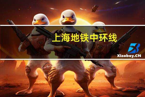 上海地铁中环线（中上海地铁音mad中没出现哪个站）