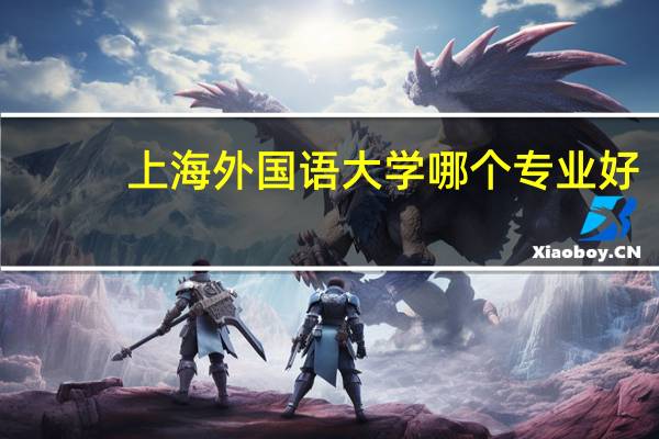 上海外国语大学哪个专业好