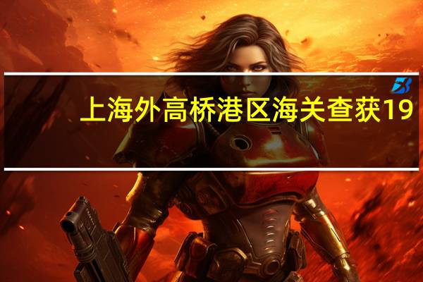 上海外高桥港区海关查获19.2吨“涉危不报”危险化学品