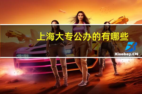 上海大专公办的有哪些