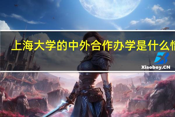 上海大学的中外合作办学是什么情况