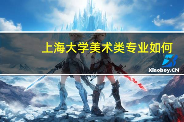 上海大学美术类专业如何