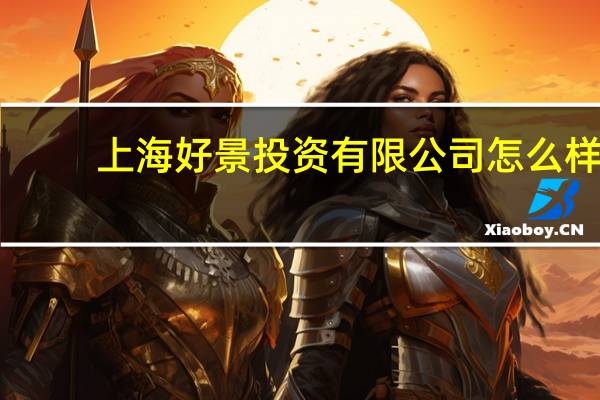 上海好景投资有限公司怎么样
