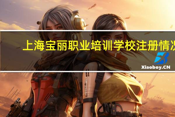 上海宝丽职业培训学校注册情况