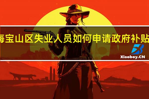 上海宝山区失业人员如何申请政府补贴职业培训