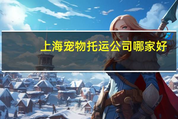 上海宠物托运公司哪家好