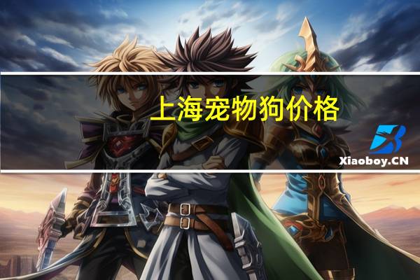 上海宠物狗价格