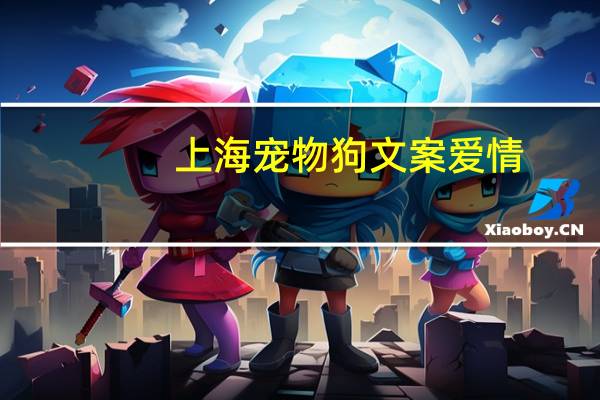 上海宠物狗文案爱情