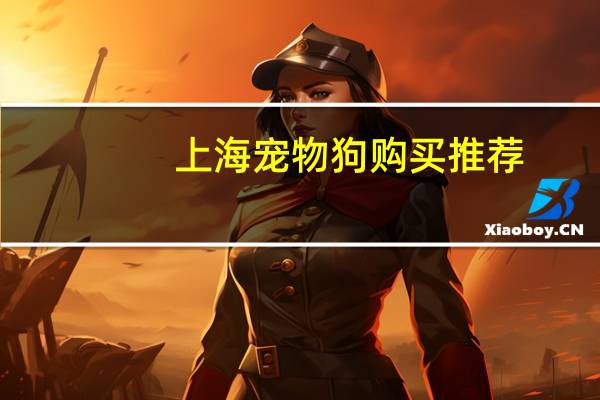 上海宠物狗购买推荐