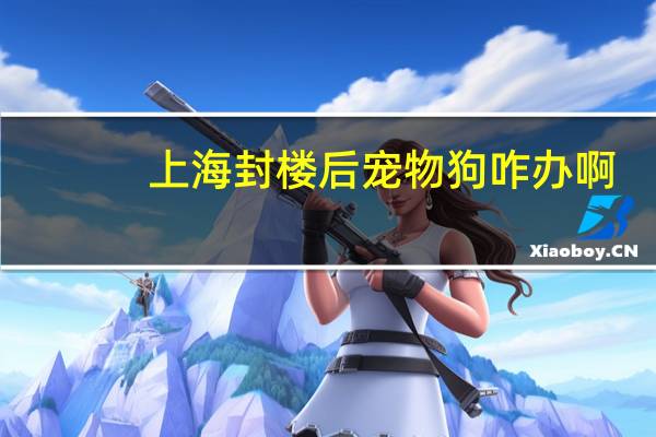 上海封楼后宠物狗咋办啊