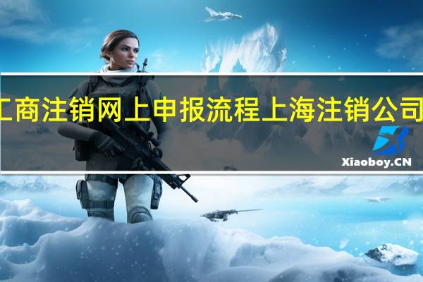 上海工商注销网上申报流程 上海注销公司流程及费用