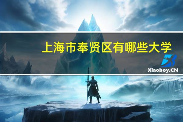 上海市奉贤区有哪些大学