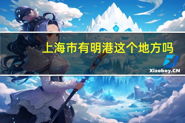 上海市有明港这个地方吗