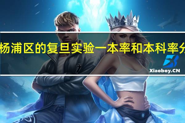 上海市杨浦区的复旦实验一本率和本科率分别是多少40