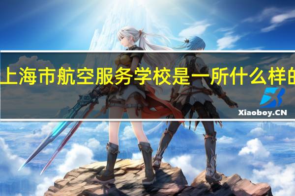 上海市航空服务学校是一所什么样的学校
