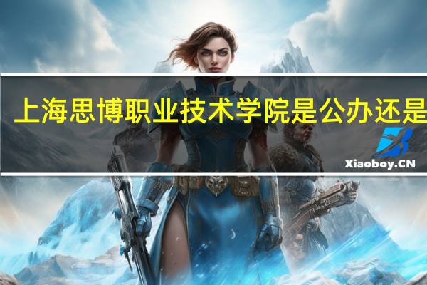 上海思博职业技术学院是公办还是民办