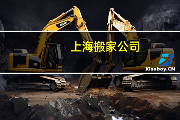 上海搬家公司（上海杀人游戏）