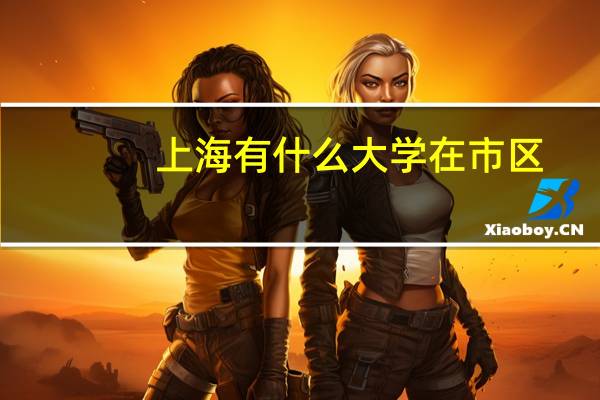 上海有什么大学在市区