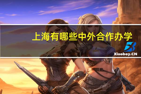 上海有哪些中外合作办学
