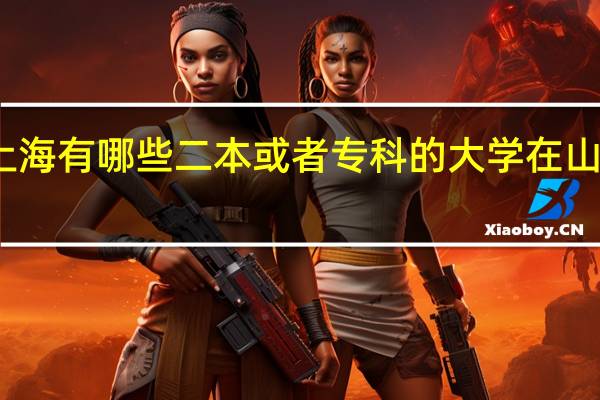 上海有哪些二本或者专科的大学在山东招生