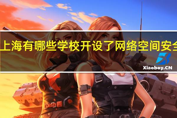 上海有哪些学校开设了网络空间安全专业